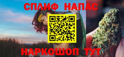 мяу мяу мука Тара