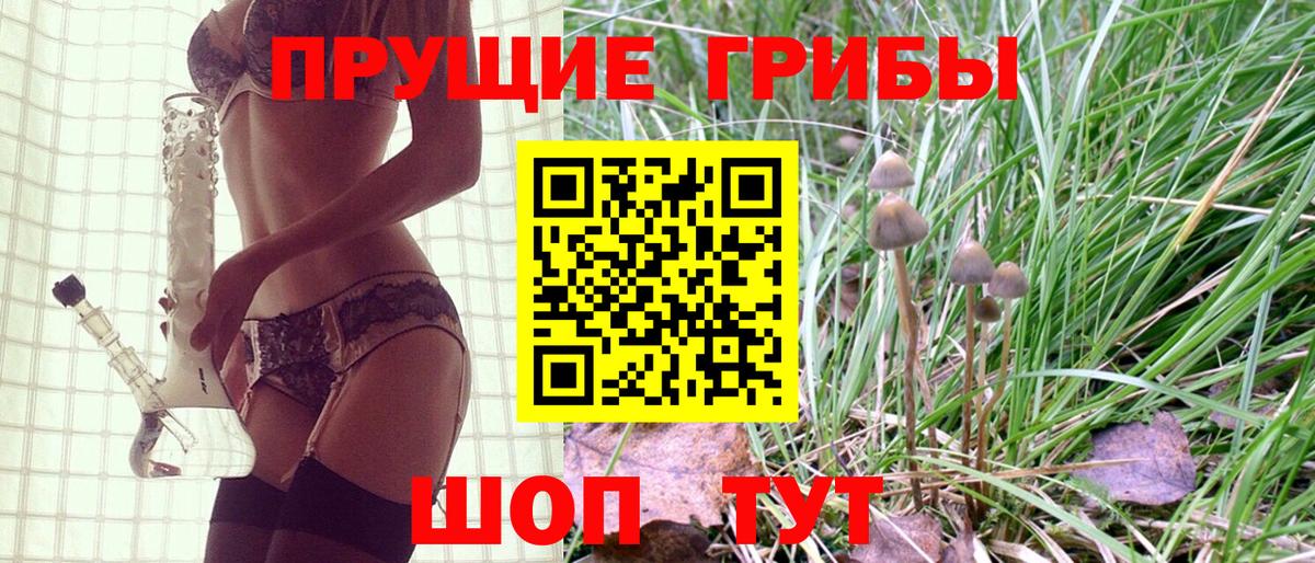 Псилоцибиновые грибы Psilocybine cubensis  Вход с VPN  Балашиха 