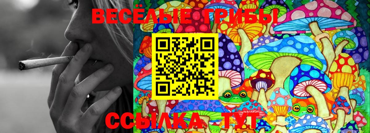 Галлюциногенные грибы MAGIC MUSHROOMS Балашиха